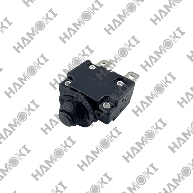 SP10103 - Overload Protection for Planetary Mixer B20/30