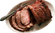 Ferrowick Gas Range