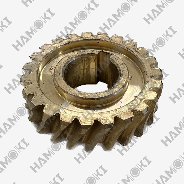 Worm Gear #61 for Planetary Mixer B20/B30